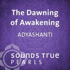 The Dawning of Awakening, Adyashanti