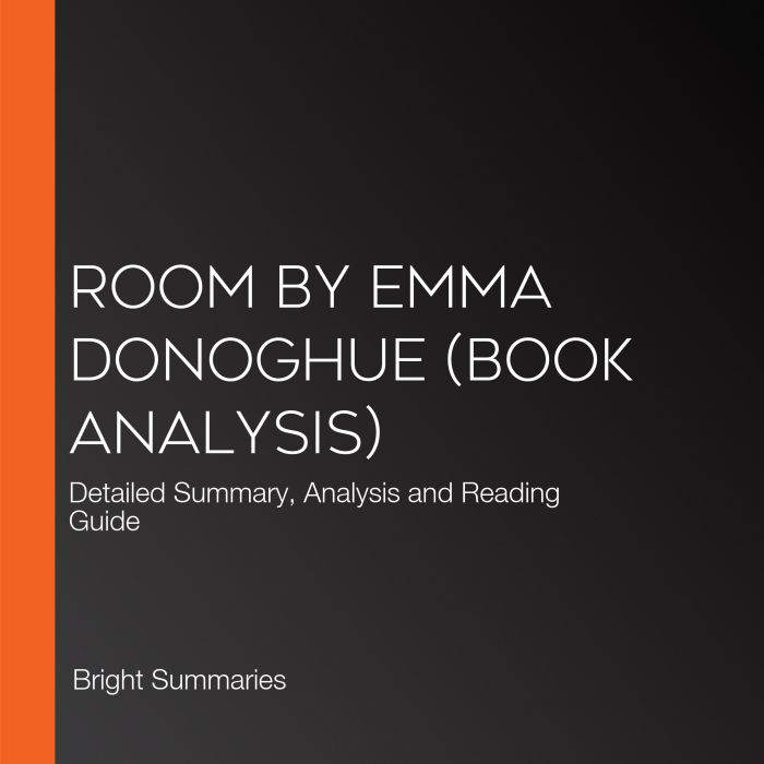 Room by Emma Donoghue Book Analysis..., Bright Summaries