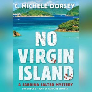 No Virgin Island, C. Michele Dorsey