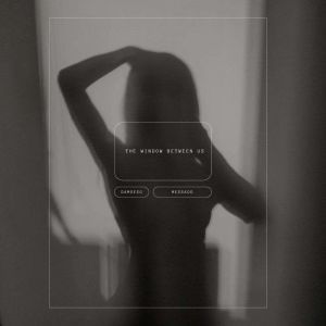 The Window Between Us: A Moment of Desire in the Quiet Spaces