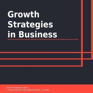 Growth Strategies  in Business