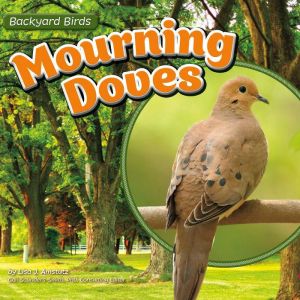 Mourning Doves, Lisa Amstutz
