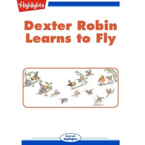 Dexter Robin Learns to Fly, Jennifer Gomoll