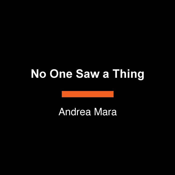 No One Saw a Thing, Andrea Mara