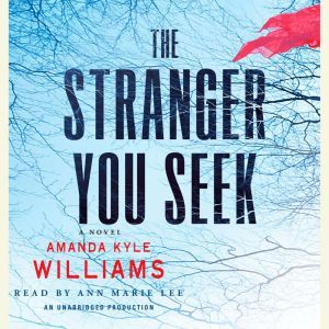 The Stranger You Seek, Amanda Kyle Williams