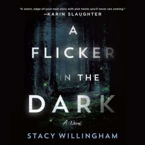 A Flicker in the Dark A Novel, Stacy Willingham
