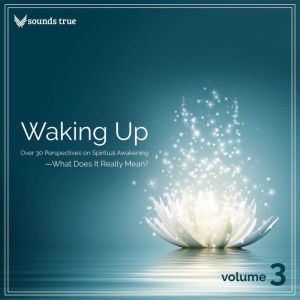 Waking Up Volume 3: Over 30 Perspectives on Spiritual Awakening--What Does It Really Mean?