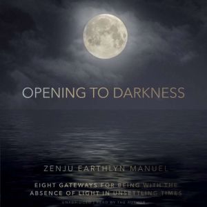 Opening to Darkness: Eight Gateways for Being with the Absence of Light in Unsettling Times