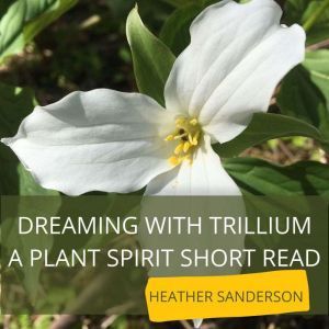 Dreaming with Trillium, Heather Sanderson