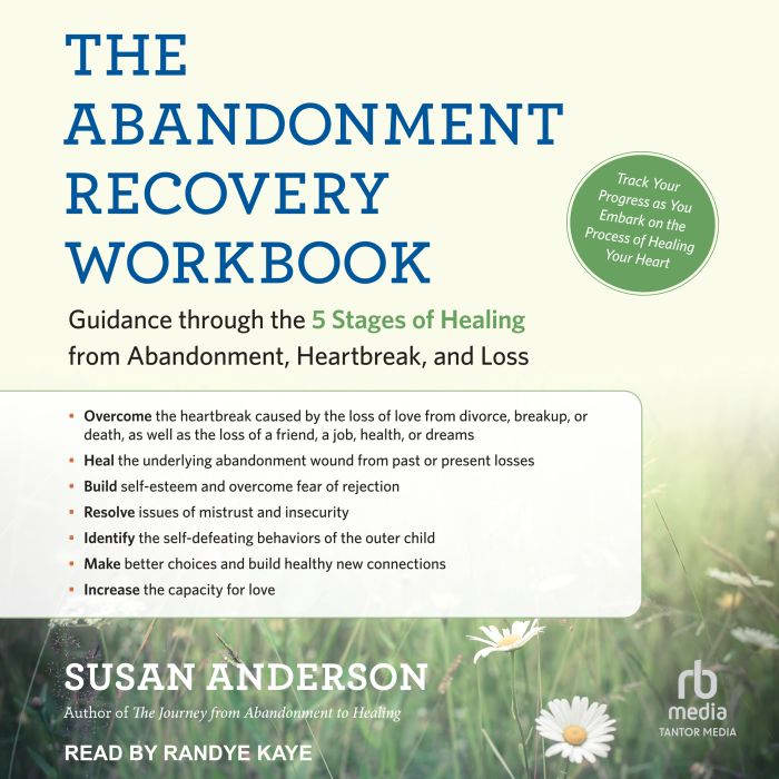 The Abandonment Recovery Workbook, Susan Anderson