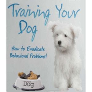 Training Your Dog  How to Eradicate ..., Empowered Living