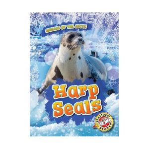 Harp Seals, Rebecca Pettiford