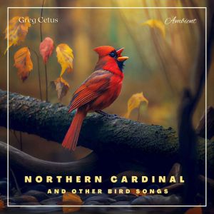 Northern Cardinal and Other Bird Song..., Greg Cetus