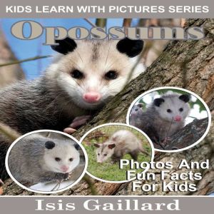 Opossums, Isis Gaillard