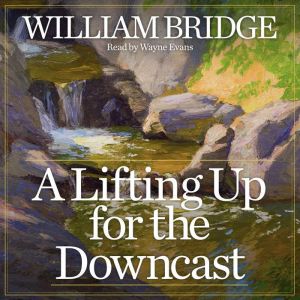 A Lifting Up for the Downcast