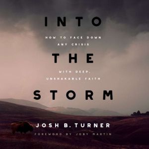 Into the Storm: How to Face Down any Crisis with Deep, Unshakable Faith