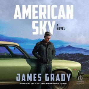 American Sky: A Novel
