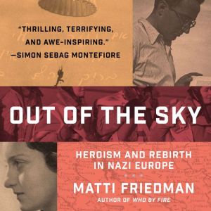 Out of the Sky, Matti Friedman