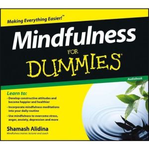 Mindfulness for Dummies, Shamash Alidina