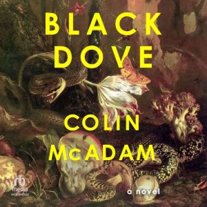 Black Dove, Colin McAdam