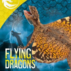 Flying Dragons, Wil Mara