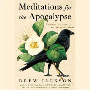 Meditations for the Apocalypse, Drew Jackson