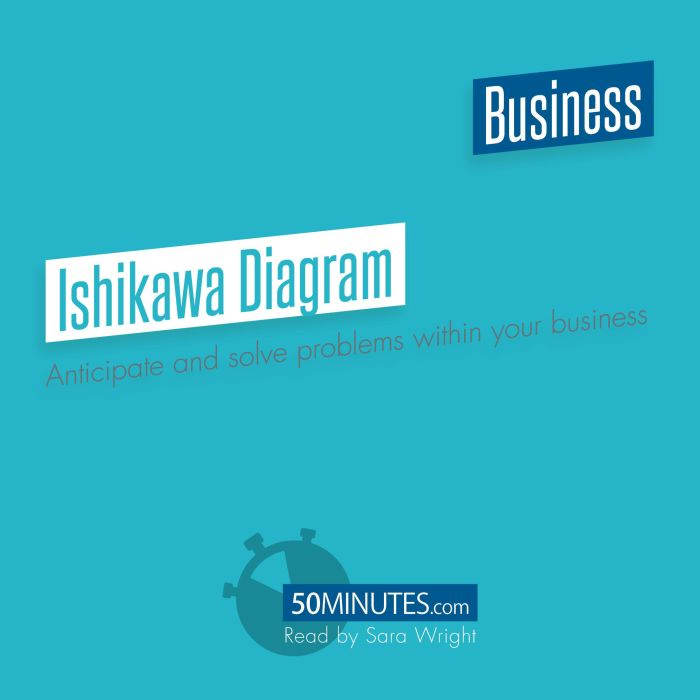 Ishikawa Diagram, 50minutes
