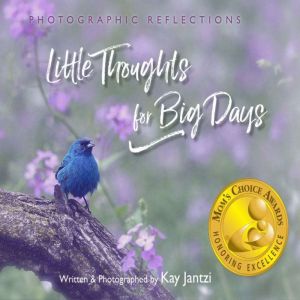 Little Thoughts For Big Days, Kay Jantzi