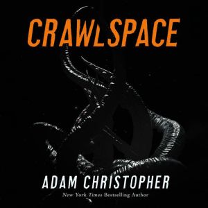 Crawlspace