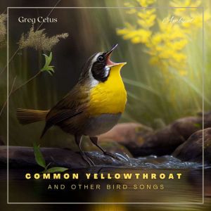 Common Yellowthroat and Other Bird So..., Greg Cetus