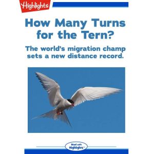 How Many Turns for the Tern?, Alison Pearce Stevens, Ph.D.