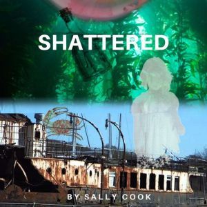 Shattered, sally Cook