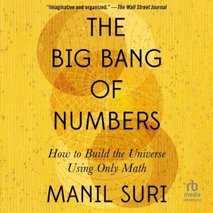 The Big Bang of Numbers, Manil Suri