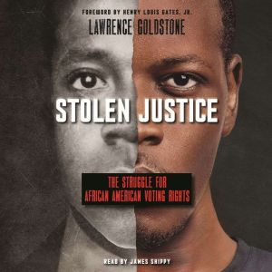 Stolen Justice The Struggle for Afri..., Lawrence Goldstone