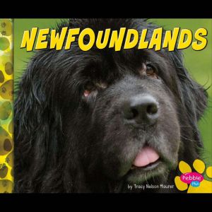 Newfoundlands, Allan Morey