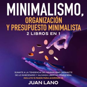 Minimalismo, organizacion y presupues..., Juan Lano
