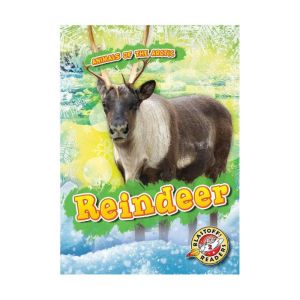 Reindeer, Rebecca Pettiford