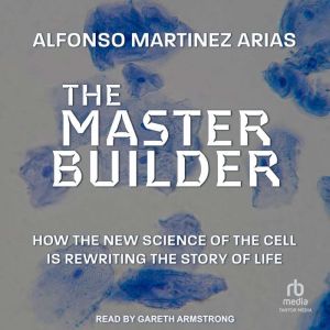 The Master Builder, Alfonso Martinez Arias