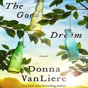 The Good Dream, Donna VanLiere