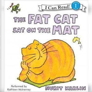 The Fat Cat Sat on the Mat, Nurit Karlin