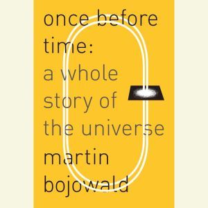 Once Before Time, Martin Bojowald