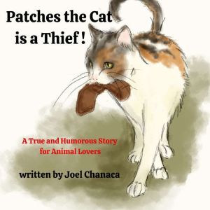 Patches the Cat is a Thief !, Joel P Chanaca