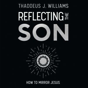 Reflecting the Son, Thaddeus J. Williams