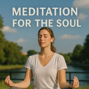 Meditation for the Soul Book summary..., Skye Emerson