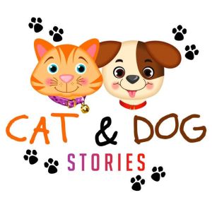 Cat  Dog Stories, Traditional