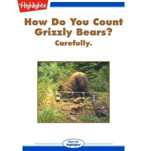 How Do You Count Grizzly Bears?, Linda Zajac