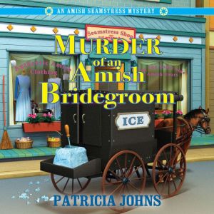 Murder of an Amish Bridegroom, Patricia Johns