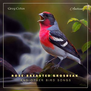 Rosebreasted Grosbeak and Other Bird..., Greg Cetus