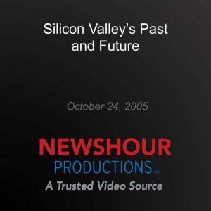 Silicon Valley's Past and Future