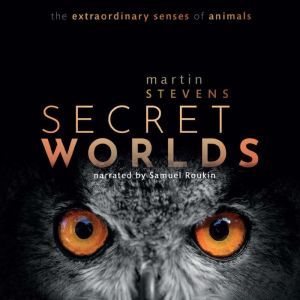 Secret Worlds, Martin Stevens